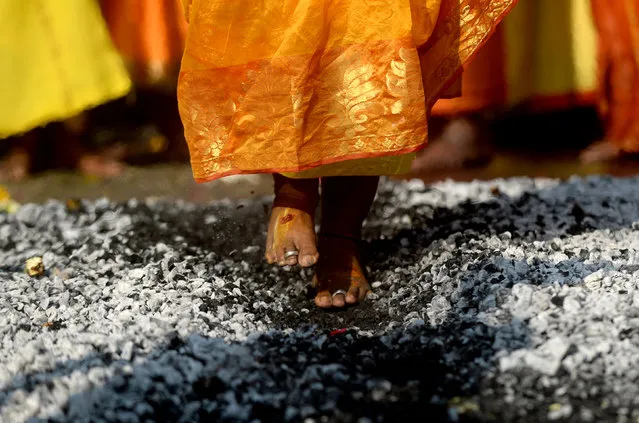 A Hindu devotee walks over burning coals during the Thaipoosam festival in Chennai on January 31, 2018. The festival is a purification ritual offering prayers and penance, observing a strict month long vegetarian diet and celebrating the birth of th eHindu deity Muruga. (Photo by Arun Sankar/AFP Photo)