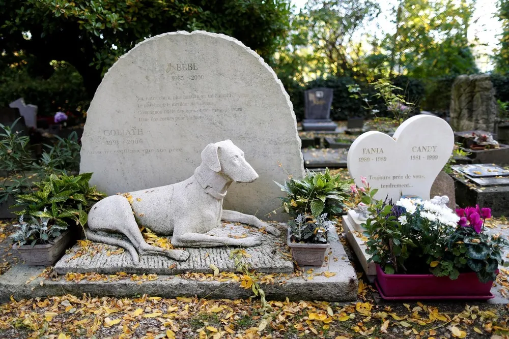 Cemetery of Dogs