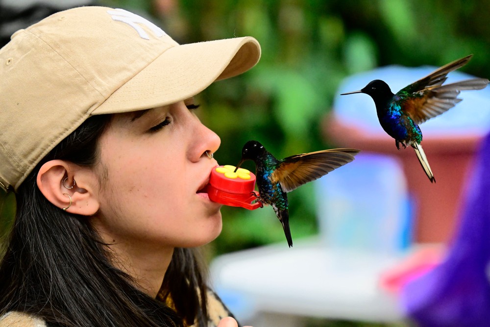 Pictures of the Year 2024, Part 162/240