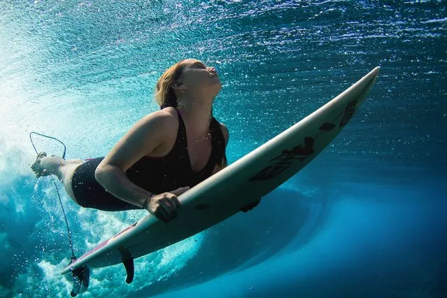 A surfer pierces a wave with her surfboard. (Photo by Sarah Lee/Caters News)