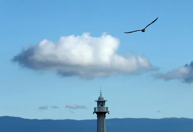 A seagull flies above the Paquis lighthouse in the harbor in Geneva, Switzerland, September 6, 2016. (Photo by Denis Balibouse/Reuters)