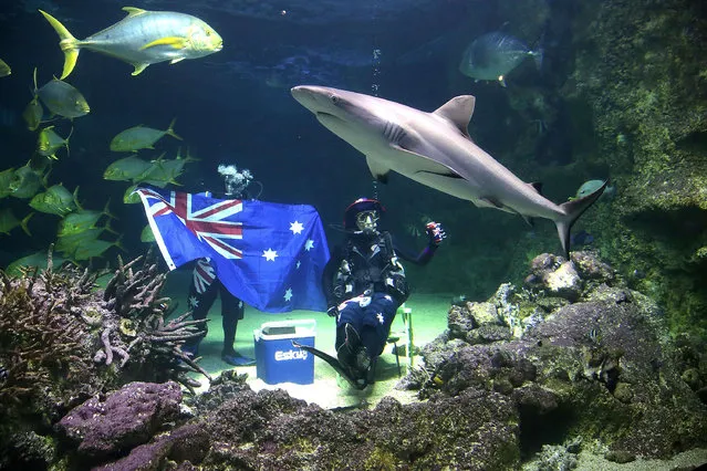 Divers pose with an Australian flag during Australia Day underwater party at SEA LIFE Sydney Aquarium on January 20, 2015 in Sydney, Australia. (Photo by Mark Metcalfe/Getty Images)