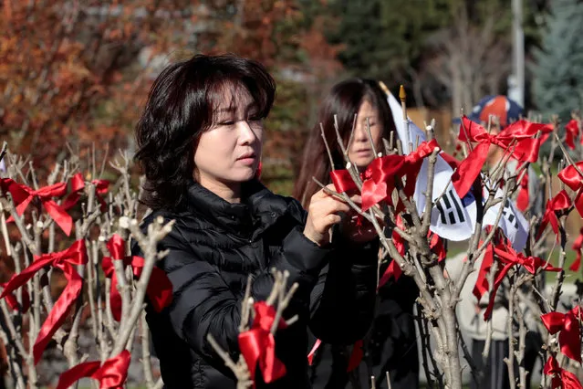Cindy Kim (L) and Joanne Lee tie red ribbons on Rose of Sharon trees in honor of 516 Canadian troops who lost their lives in the Korean War (1950-1953) ahead of Canada's Remembrance Day on Friday at the Rose of Sharon Garden in James Gardens in Toronto, Ontario, Canada, November 10, 2016. (Photo by Hyungwon Kang/Reuters)
