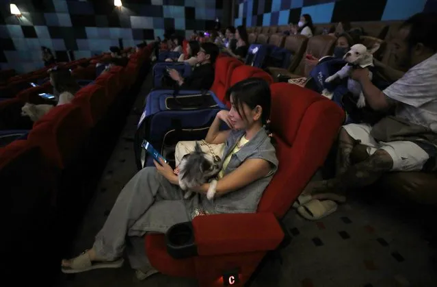 People and their pets sit inside a movie theatre during the opening day of the pet friendly theatre “i-Tail Pet Cinema” at Mega Cineplex in Samut Prakan province, Thailand, 10 June 2023. (Photo by Narong Sangnak/EPA)