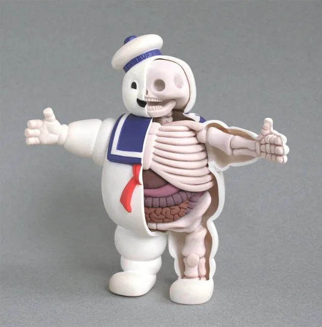 Anatomical Toys By Jason Freeny