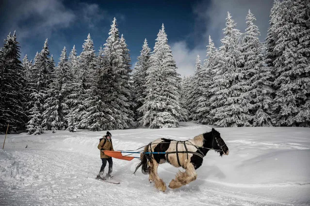 A person practices ski-joering at the Avoriaz resort in the French Alps on February 11, 2021. (Photo by Jeff Pachoud/AFP Photo)