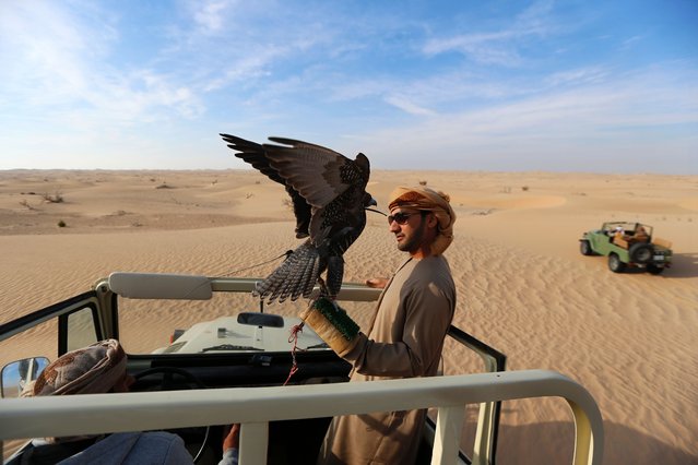 An Emirati man holds a hunting falcon at the al-Marzoon Hunting reserve, 60 Kilometres south of Madinat Zayed,in the United Arab Emirates  on February 1, 2016. (Photo by Karim Sahib/AFP Photo)