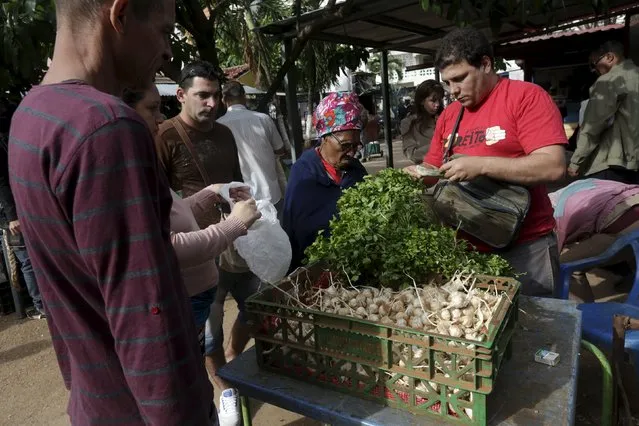 Cubans buy vegetables at a state market in Havana January 19, 2016. Cuba is backtracking on some key agricultural reforms and experimenting with restoring price controls in the face of public demands that the government tame rising food costs. (Photo by Enrique de la Osa/Reuters)