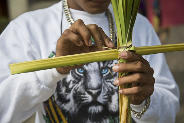 A young man weaves palm fronds into the shape of a cross before the start of a Mass to observe Palm Sunday, at the Metropolitan Cathedral, in Managua, Nicaragua, Sunday, March 29, 2015. For Christians, Palm Sunday marks the start of Holy Week ahead of Easter, commemorating Jesus Christ's entrance into Jerusalem, when his followers laid palm branches in his path. (Photo by Esteban Felix/AP Photo)