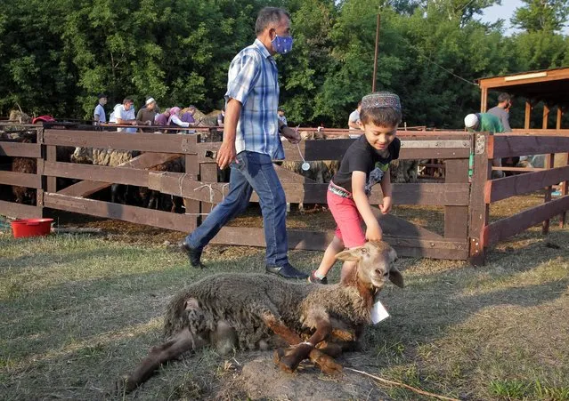 A boy plays with a sheep for slaughtering during celebrations of the Muslim festival of sacrifice Eid al-Adha in Kazan, Russia on July 20, 2021. (Photo by Alexey Nasyrov/Reuters)