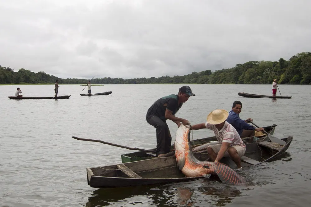 Fishing for Brazil's Fossils