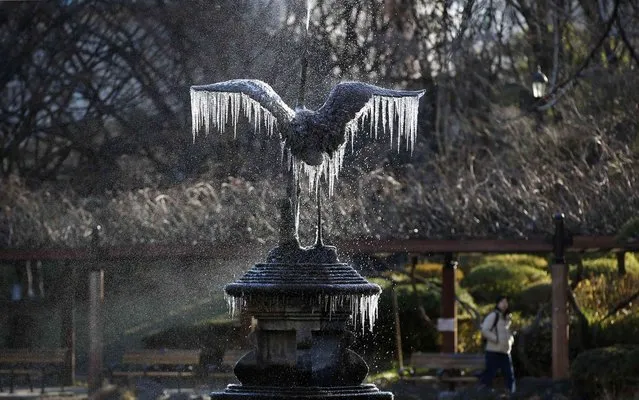 Icicles hang from the wings of a crane-shaped fountain in a Tokyo park, as a massive cold front over Japan caused temperatures in the capital to plummet Friday to their lowest this winter. (Photo by Toru Hanai/Reuters)