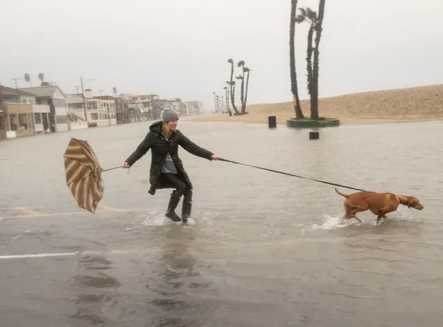 Laura Bersuch walks her dog Lola through floodwater near the Seal Beach Pier during a storm in Seal Beach, Calif., Sunday, January 22, 2017. (Photo by Ana Venegas/The Orange County Register via AP Photo)