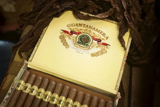 A box of Guantanamera Cigars is pictured in Jose Montagne's store on the famed Calle Ocho (Eighth Street) in the Little Havana section of Miami, April 16, 2015. (Photo by Carlo Allegri/Reuters)