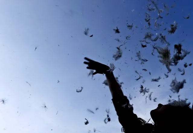 A Romanian girl spreads pillow's feather in the air during the International Pillow Fight Day in Bucharest, Romania, 02 April 2016. (Photo by Robert Ghement/EPA)