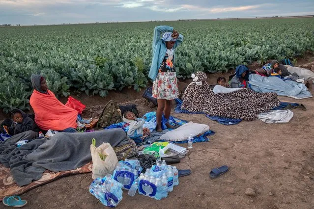 Haitian families with pregnant mothers awake after sleeping a cold night next to a cauliflower field on December 08, 2021 in Yuma, Arizona. U.S. Border Patrol agents said the previous night that the detention facility in Yuma was full and they had stopped taking in more immigrants for the day. Immigration officials were overwhelmed processing thousands of new arrivals, with many families trying to reach U.S. soil before the court-ordered re-implementation of the Trump-era Remain in Mexico policy. The policy requires asylum seekers to stay in Mexico for the duration of their U.S. immigration court process. In many cases migrant families with pregnant mothers, considered highly vulnerable, are allowed by Mexican immigration officials to proceed to the U.S. border, where they can apply for asylum. (Photo by John Moore/Getty Images)