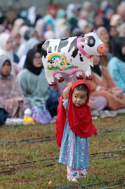 A young girl holds a cow balloon during an Eid al-Adha prayer service, in Depok, Indonesia, 17 June 2024. Eid al-Adha is the holiest of the two Muslims holidays celebrated each year. It marks the yearly Muslim pilgrimage (Hajj) to visit Mecca, the holiest place in Islam. Muslims slaughter a sacrificial animal and split the meat into three parts, one for the family, one for friends and relatives, and one for the poor and needy. (Photo by Adi Weda/EPA)