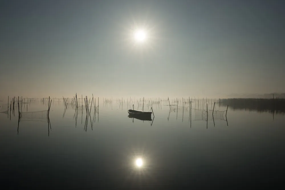 2014 National Geographic Photo Contest, Week 6