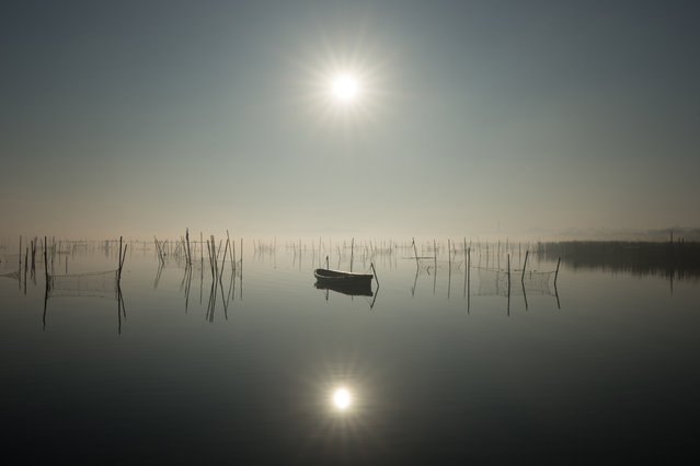 “World's end”. Being enveloped in an unusually dense fog, Inba Marsh had a fantastic atmosphere. Near-whiteout view was simply impressive, but made me feel insecure. Photo location: Inba marsh, Chiba, Japan. (Photo and caption by Takeo Hirose/National Geographic Photo Contest)