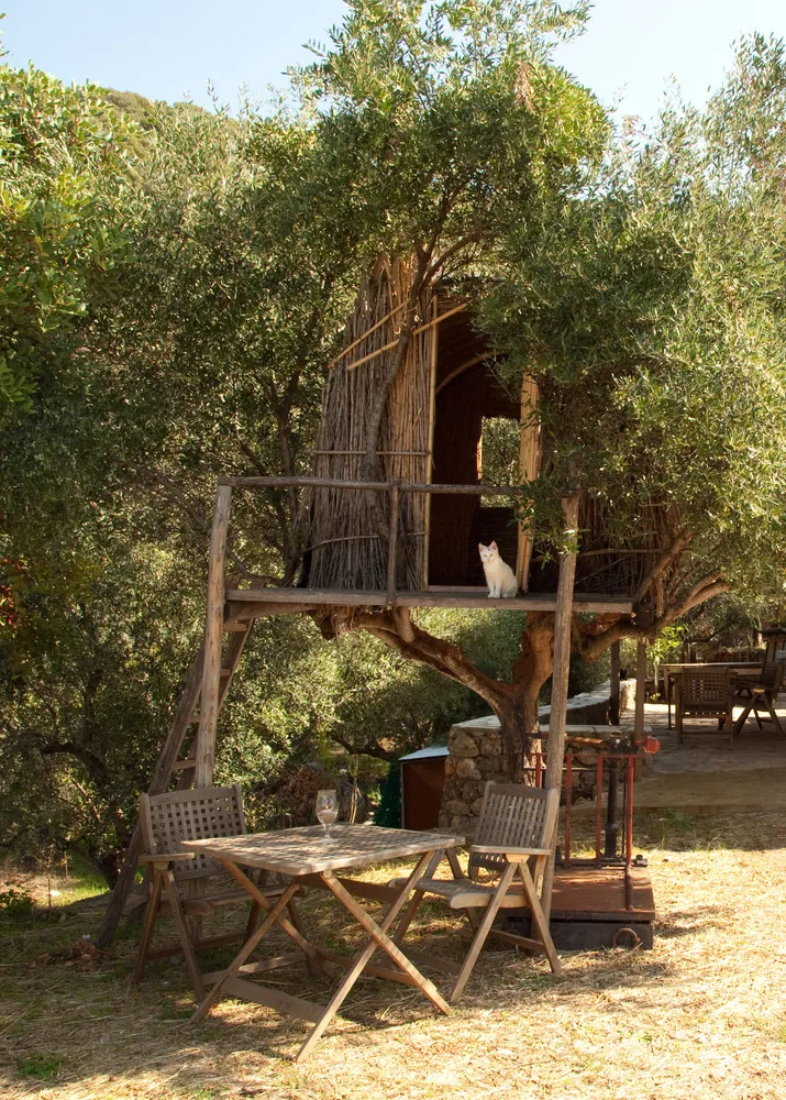 Pete Nelson’s Tree Houses