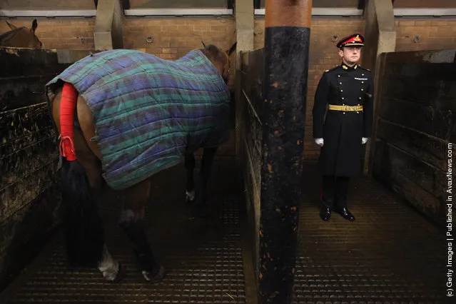 The King's Troop Royal Horse Artillery Prepare To Leave Their St. John's Wood Barracks For Woolwich