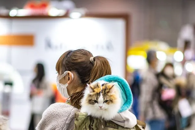 A woman visits the “Interpets – International fair for a better life with pets” in Tokyo on April 1, 2022. (Photo by Philip Fong/AFP Photo)