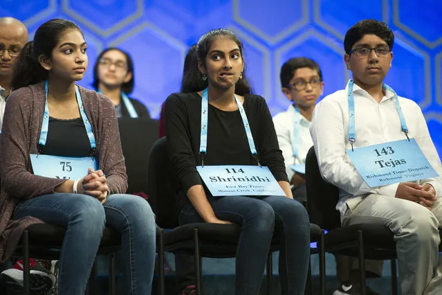 Mira Dedhia, 13, from Western Springs, Ill., left, Shrinidhi Gopal, 13, from San Ramon, Calif., center, and Tejas Muthusamy, 14, from Glen Allen, Va., waits to spell during the finals of the 90th Scripps National Spelling Bee in Oxon Hill, Md., Thursday, June 1, 2017.  (Photo by Cliff Owen/AP Photo)