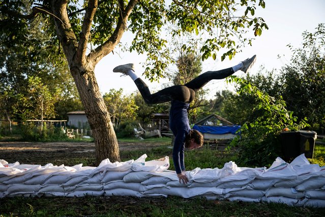 A young horse vaulter practices on the sandbags in a small family-run stable in Szodliget, Hungary, on September 17, 2024. (Photo by Marton Monus/Reuters)