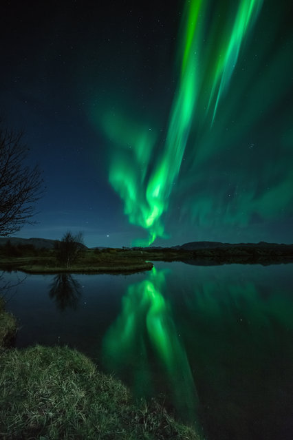 Aurora Borealis, northern lights Thinvellir national park Iceland. (Photo by Getty Images)