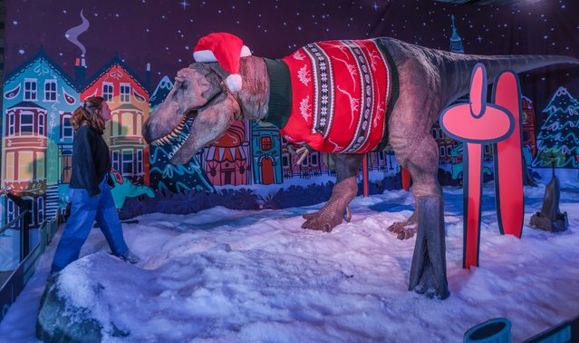 The National History Museum unveils its Christmas jumper 2023, modelled by the giant animatronic T-Rex, avalable now on November 7, 2023 in London. (Photo by Paul Quezada-Neiman/Alamy Live News)