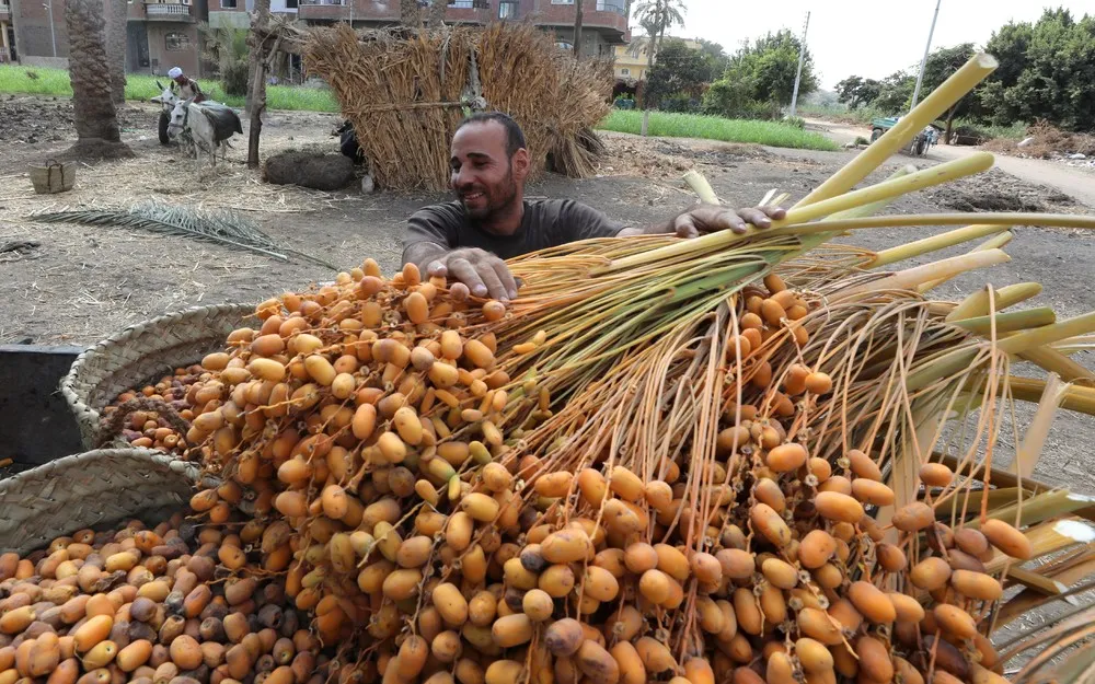 A Look at Life in Egypt