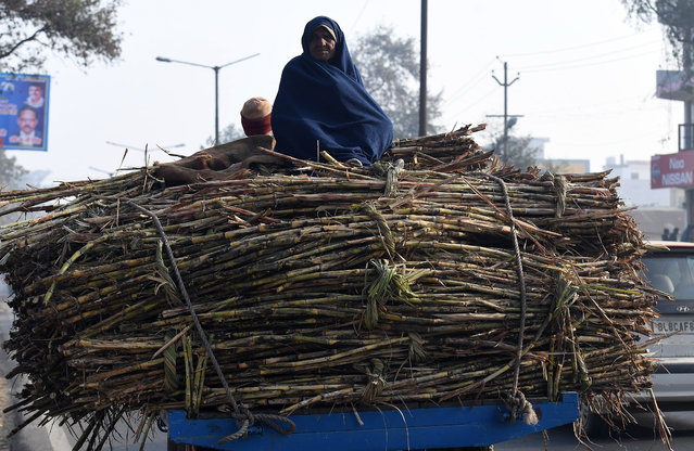 An Indian farmer sits atop bundles of sugarcane on a cart, to sell at a nearby sugar mill,   in Modinagar in Ghaziabad, some 45km east of New Delhi, on January 31, 2018. The Indian government is set to focus on the agricultural sector in its annual budget that is released on February 1. (Photo by Prakash Singh/AFP Photo)