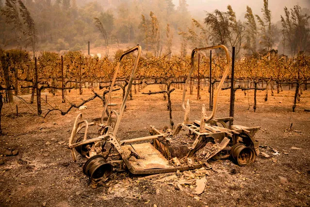 The remains of a golf cart burned by the Glass Fire sits next to a vineyard at Calistoga Ranch in Calistoga, Napa Valley, California on September 30, 2020. Two California wildfires that ravaged Napa's famous wine region and killed three people exploded in size Tuesday as firefighters faced a weeks-long battle to contain the blazes. (Photo by Samuel Corum/AFP Photo)