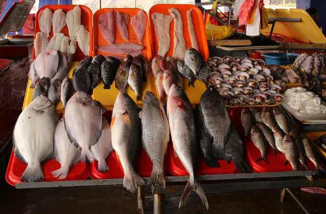Fish for sale is seen at a market at Pescadores beach in the Chorrillos district of Lima, Peru, September 25, 2016. (Photo by Mariana Bazo/Reuters)