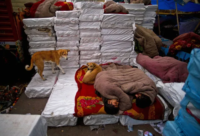 Indian laborers sleep on makeshift beds by the roadside on a cold morning in New Delhi, India, Tuesday, December 23, 2014. (Photo by Saurabh Das/AP Photo)