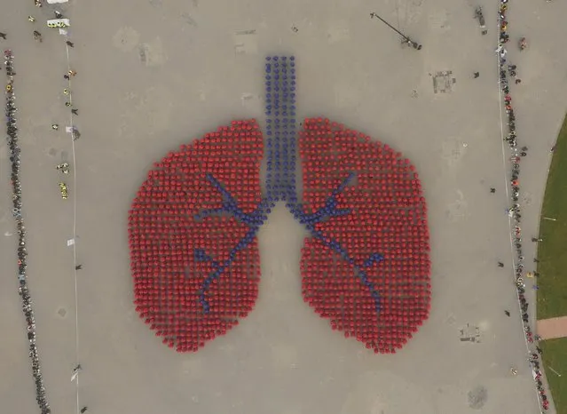 An aerial view shows participants wearing blue and red coats forming an image depicting a human lung, during an Guinness World Record attempt of the largest human image of an organ, on a hazy day in Beijing, November 15, 2015. Over 1,500 people joined the successful attempt on Sunday which was organized by a local health research centre hoping to improve awareness of lung health, local media reported. (Photo by Reuters/Stringer)