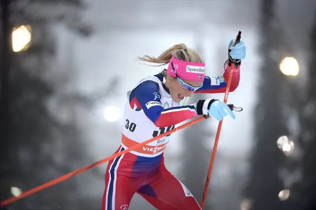 Therese Johaug of Norway skis to win the Ladies' Individual Free Cross Country 5km competition at the FIS World Cup Ruka Nordic 2015 event in Kuusamo, Finland November 28, 2015. (Photo by Heikki Saukkomaa/Reuters/Lehtikuva)
