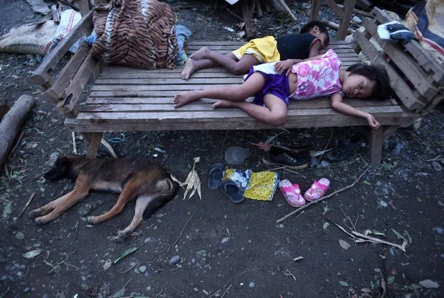 Children sleep on a family bed next to their pet dog after their house was destroyed at the height of typhoon Haima in San Pablo town, Isabela province, north of Manila, Philippines, October 20, 2016. (Photo by Ted Aljibeted/AFP Photo)