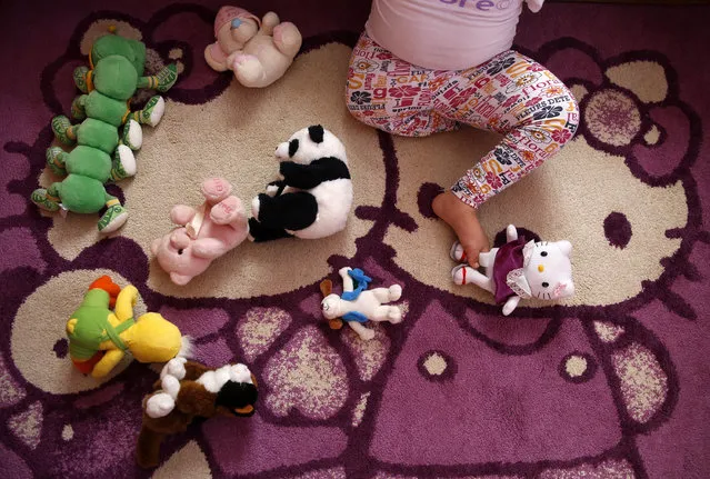 Ramela Meseljevic, a 7 year-old girl born without both of her hands and one of her legs shorter than the other, plays with her toys in her home in Begov Han, Bosnia and Herzegovina December 2, 2015. (Photo by Dado Ruvic/Reuters)