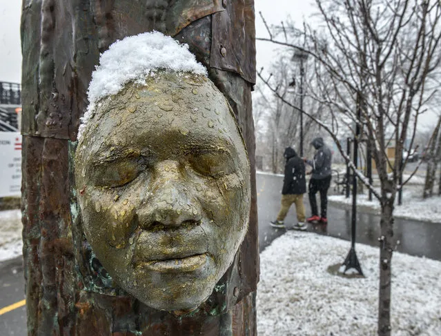 A sculpted face collects snow and water along the Metropolitan Branch trail in northeast as a winter storm begins on January, 21, 2015 in Washington, DC. (Photo by Bill O'Leary/The Washington Post)