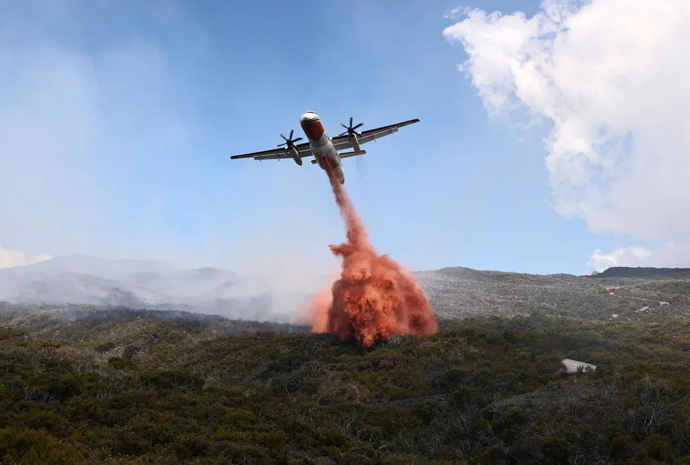 Pictures of the Year 2020, Part 65/82