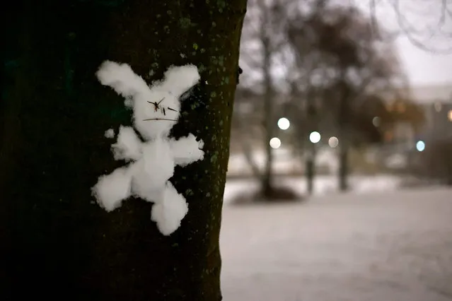 A “snow bunny” on a tree trunk in Hamburg, northern Germany on February 16, 2021. Heavy snowfall had surprised Hamburg in the evening. (Photo by Morris Mac Matzen/AFP Photo)