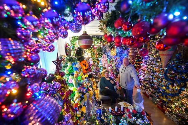 Susanne and Thomas Jeromin, the official world record holders with their 605 decorated Christmas trees in one home, pose for a photo in their house in Rinteln, west of Hanover, Germany, on December 3, 2024. (Photo by Jana Rodenbusch/Reuters)