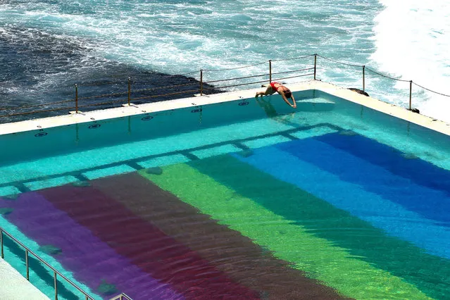 A beachgoer dives into Icebergs pool on February 11, 2021 in Sydney, Australia. Sydney's iconic Bondi Icebergs pool has been transformed into a 50m rainbow flag by footwear brand Havaianas to celebrate the LGBTQIA+ community. (Photo by Brendon Thorne/Getty Images)