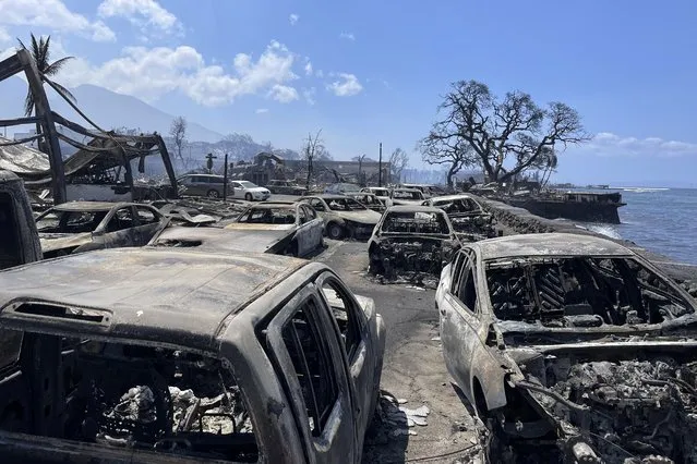 In this photo provided by Tiffany Kidder Winn, burned-out cars sit after a wildfire raged through Lahaina, Hawaii, on Wednesday, August 9, 2023. The scene at one of Maui's tourist hubs on Thursday looked like a wasteland, with homes and entire blocks reduced to ashes as firefighters as firefighters battled the deadliest blaze in the U.S. in recent years. (Photo by Tiffany Kidder Winn via AP Photo)