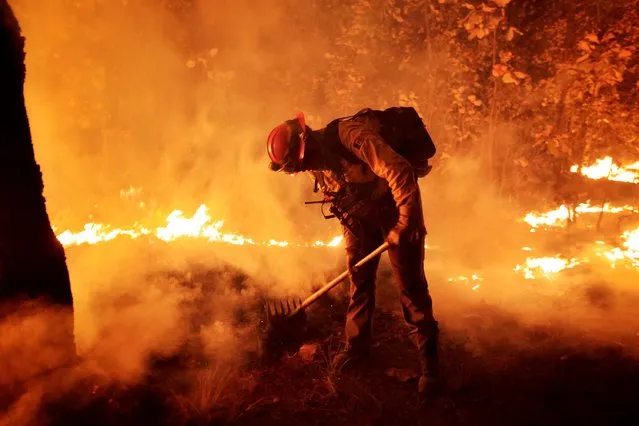 A handout photo made available by the Government of the state of Jalisco shows a firefighter working on a fire in the La Primavera Forest in the municipality of Zapopan, in the state of Jalisco, Mexico, 03 April 2021. Mexico registers 55 active fires in 16 of the 32 states that make up the country and that affect 30,454 hectares, the National Forestry Commission (Conafor) of the Mexican Government reported on 03 April. (Photo by Jalisco State Government/EPA/EFE)