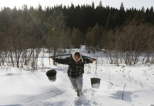 Oksana Shirshova, unemployed, carries a shoulder yoke with two buckets hanging on it after she transports water from the Teryol river in Verkhnyaya Biryusa village, located in the Taiga area near the Russian Siberian city of Krasnoyarsk, February 16, 2015. The village was founded in the Soviet Union era as a forest settlement with a logging enterprise, which was the main employer for local residents. (Photo by Ilya Naymushin/Reuters)