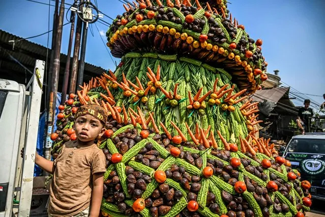 A boy stands next to a fruit gunungan during an earth alms ceremony in Surabaya, East Java province on October 15, 2023. The earth alms tradition is held to show gratitude for the abundant sustenance of God and it serves as tourist attraction. (Photo by Juni Kriswanto/AFP Photo)