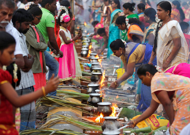 Devotees prepare rice dishes to offer to the Hindu Sun God as they attend Pongal celebrations early morning in Mumbai, India, January 14, 2017. (Photo by Shailesh Andrade/Reuters)