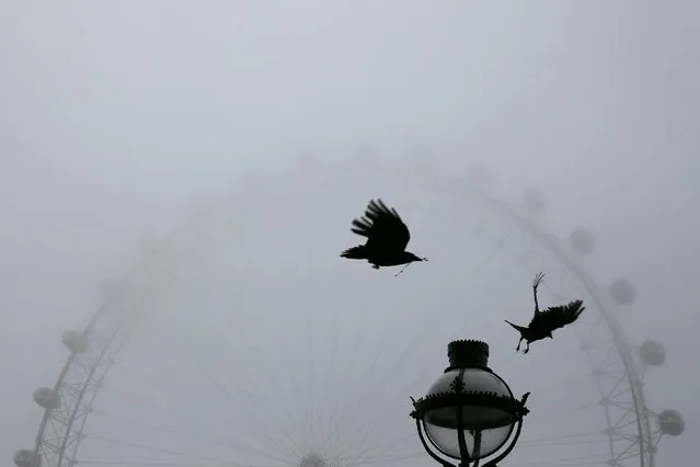 Birds fly past the London Eye on a foggy morning in central London April 9, 2015. (Photo by Stefan Wermuth/Reuters)